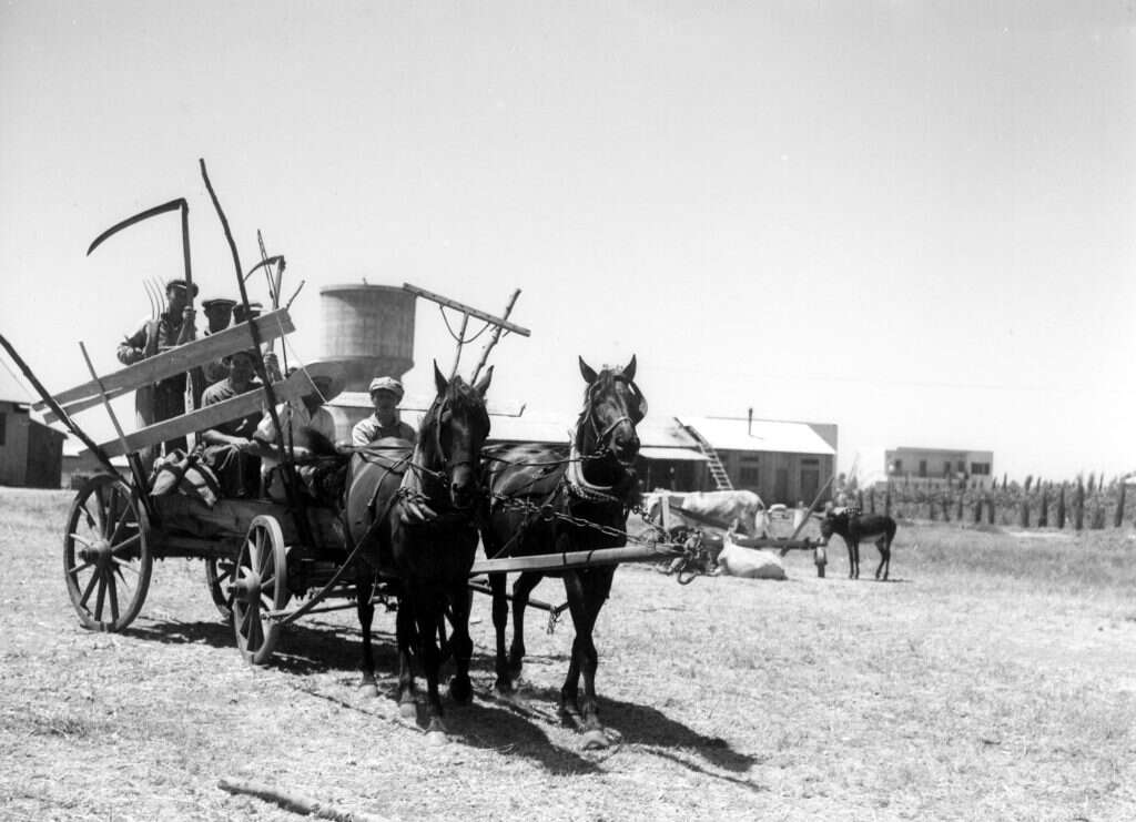 הואשמו בנישול פלאחים ערבים מאדמתם. התיישבות יהודית בסוף המאה ה־ 19. | לע"מ