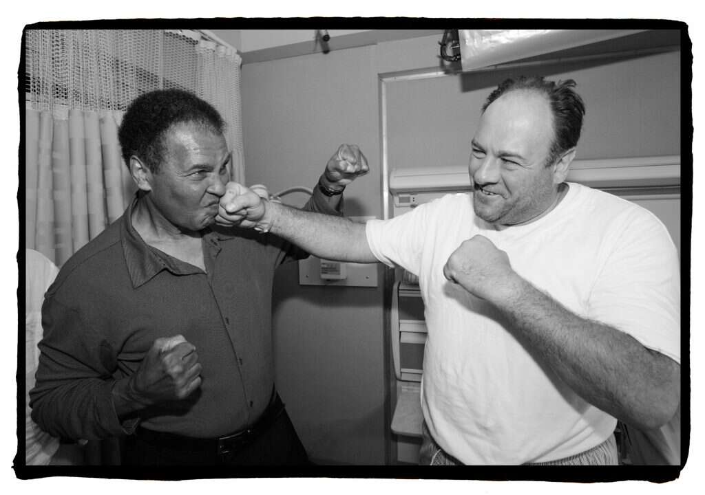 "גנדולפיני ומוחמד עלי. | שחר עזרן