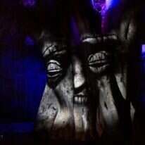 "תופעת טבע" פארק הירדן. | יח"צ "תופעת טבע" פארק הירדן. | יח"צ