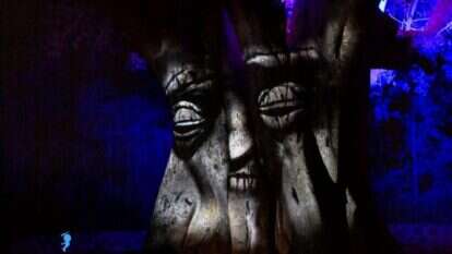 "תופעת טבע" פארק הירדן. | יח"צ