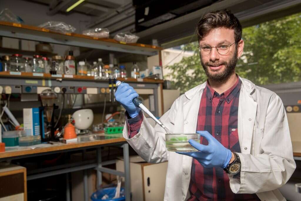 פלא ההתפתחות. בני קימלפלד. | יונתן זינדל, פלאש 90