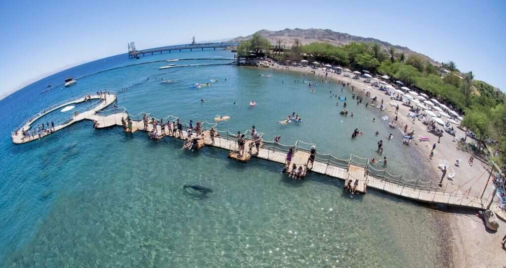 ריף הדולפינים באילת, בשבוע שעבר. | דנה גונדא, באדיבות ריף הדולפינים באילת