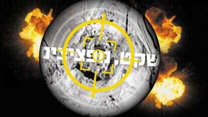 צילומים: AFP, שאטרסטוק