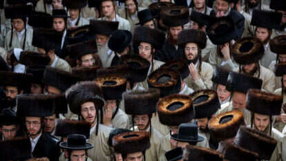 חסידים. | יונתן זינדל פלאש 90