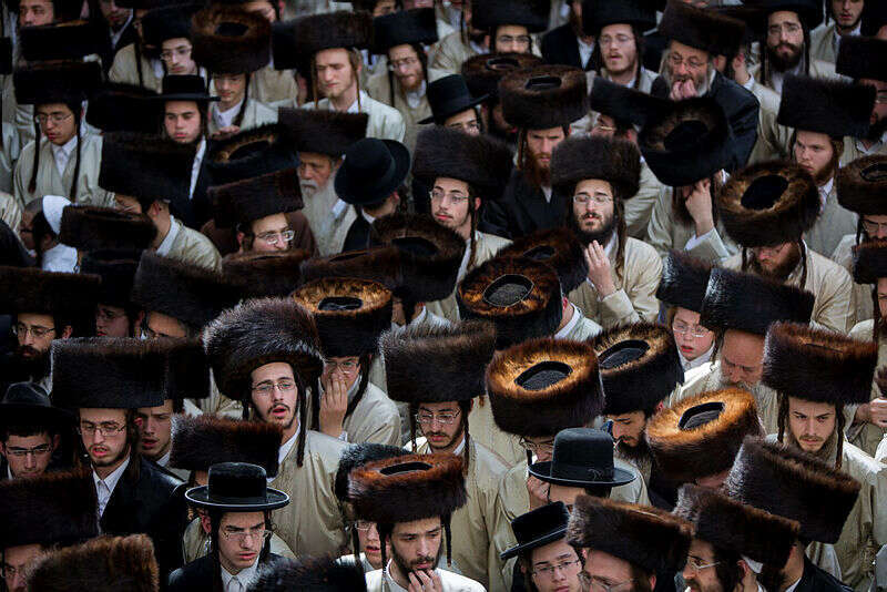 חסידים. | יונתן זינדל פלאש 90