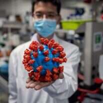מדען מחזיק דגם מפלסטיק של נגיף הקורונה. | AFP