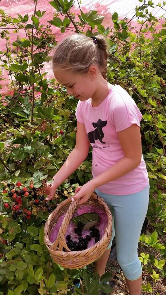 הבוסתן של רפי. | אורנה בן חיים הבוסתן של רפי. | אורנה בן חיים