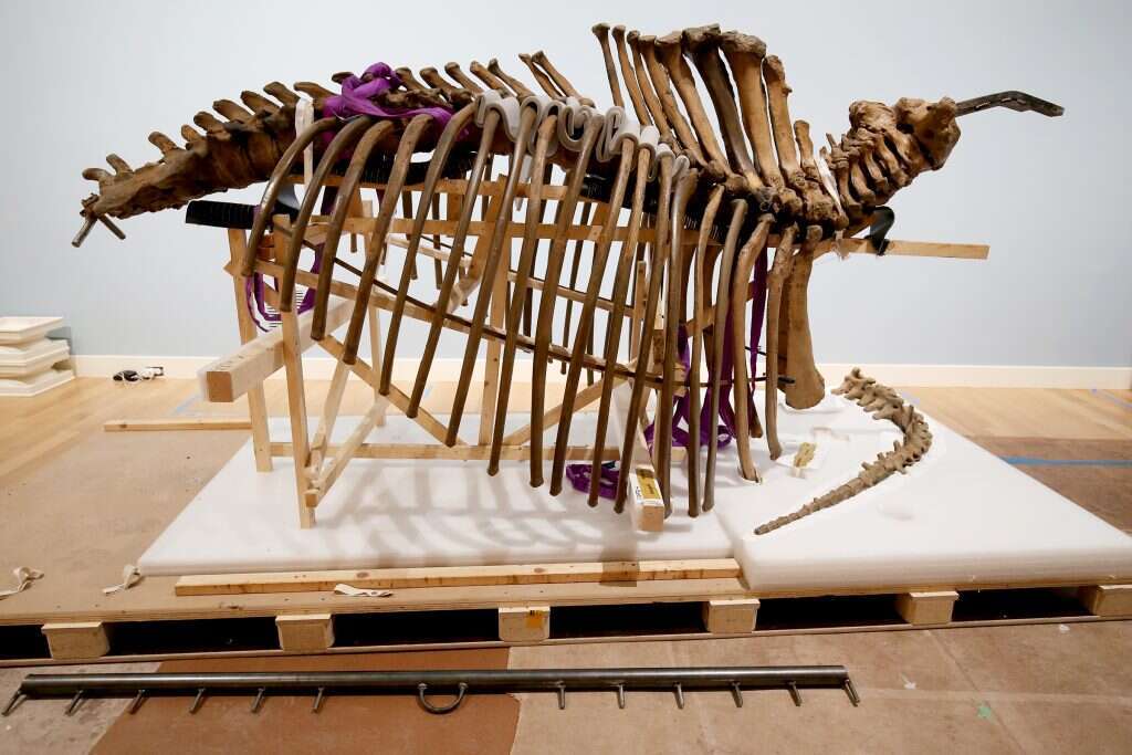 תערוכה "אלכסנדר פון-הומבולדט וארה"ב: אמנות, טבע ותרבות". | ליבי ווילר, מוזיאון סמיתסוניאן לאמנות אמריקנית