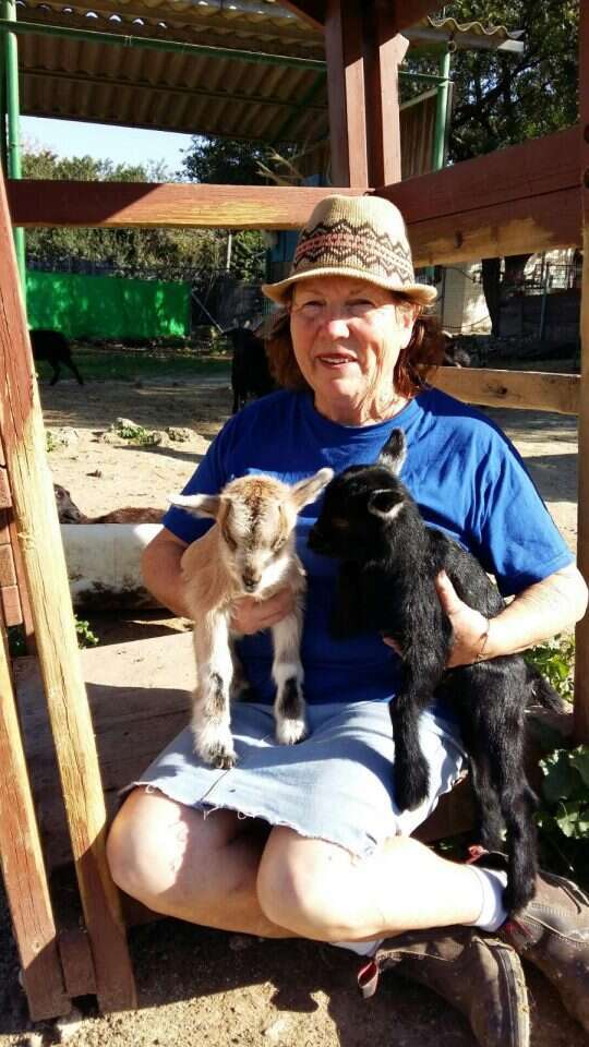 חוי והגדיים בחווה של חוה