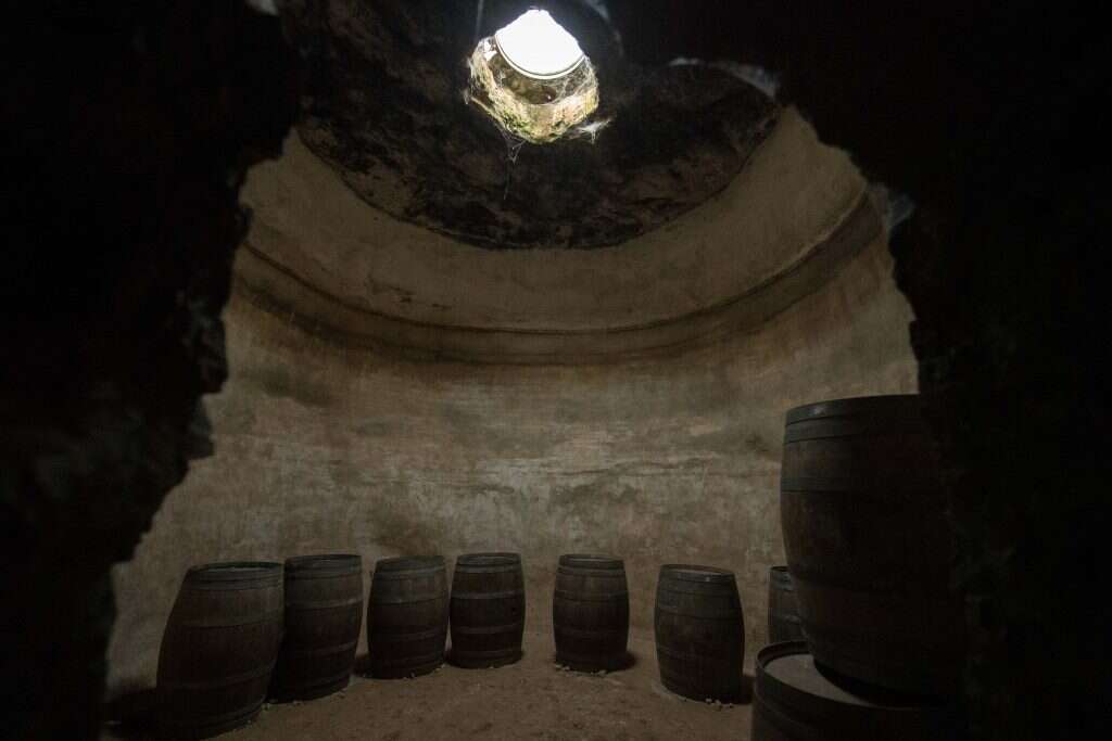מרתף יינות קסום מתחת לבטן האדמה. גבעות עולם. | שריה דיאמנט