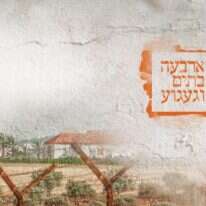 נתי שוחט, פלאש 90