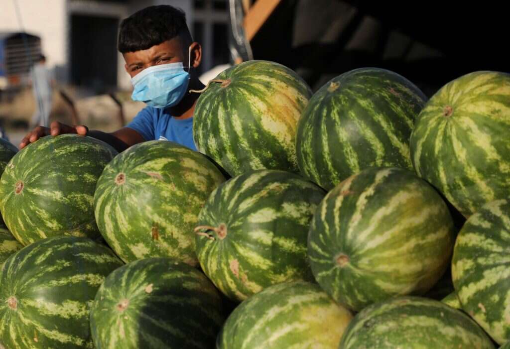 מוכר אבטיחים פלסטיני בשכם, השבוע. | AFP