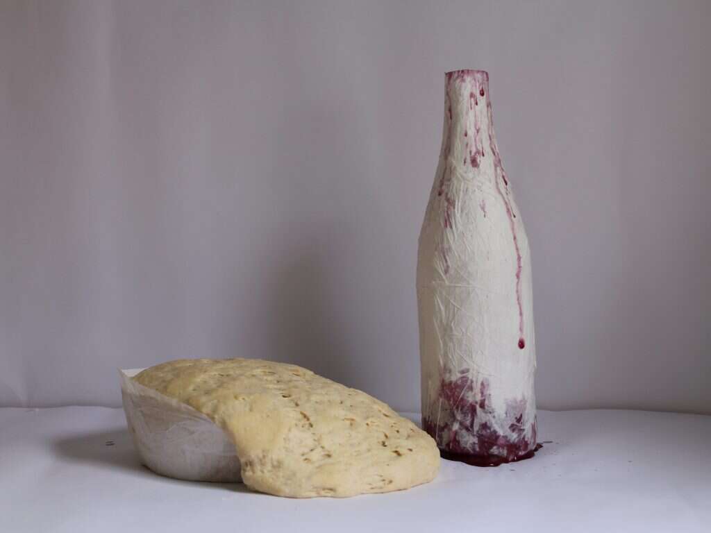 "טבע חי דומם", נעמי זינר