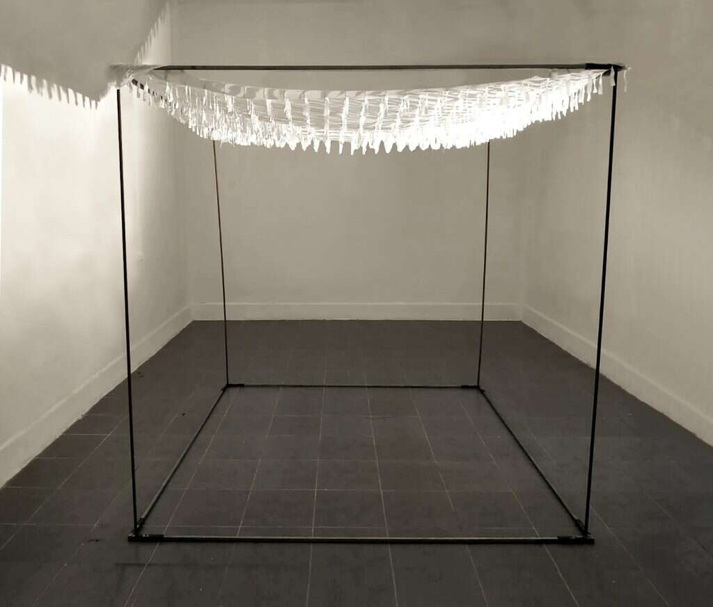 "חופת עדים", אביטל ירון. | דורון עובד