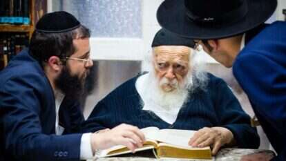 הרב חיים קנייבסקי ונכדו יענקי. | אריק סולטן