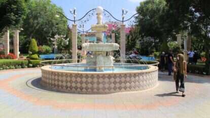 רחלי מלק בודה