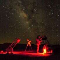 הדובה הגדולה. | יהונתן כלפה