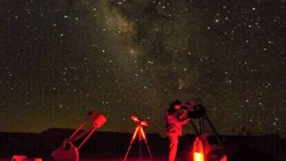 הדובה הגדולה. | יהונתן כלפה