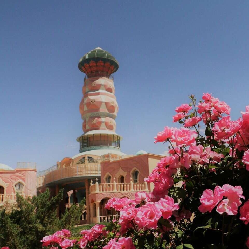 נאות סמדר, הערבה הדרומית. | ארכיון