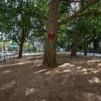 "עת לטעת ועת לעקור נטוע". | גטי אימג'ס