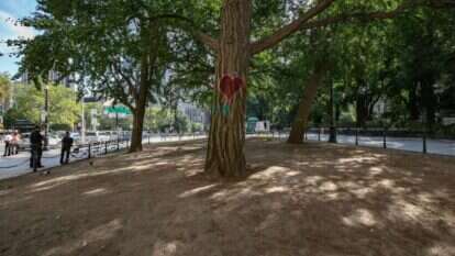 "עת לטעת ועת לעקור נטוע". | גטי אימג'ס