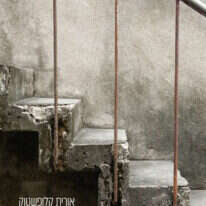 לא יכולתי לרשום את זה בתיק
אורית קלופשטוק, פרדס