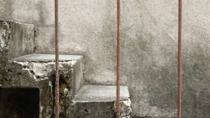 לא יכולתי לרשום את זה בתיק
אורית קלופשטוק, פרדס