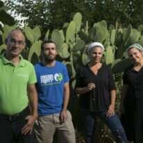 אוליבייה פיטוסי, פלאש 90