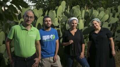 אוליבייה פיטוסי, פלאש 90