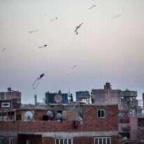 ילדים מעיפים עפיפונים על גגות העיר גיזה שבמצרים. | AFP