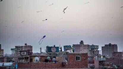 ילדים מעיפים עפיפונים על גגות העיר גיזה שבמצרים. | AFP