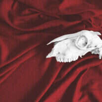 עבודה של ניר פינחס קליינמן