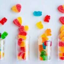 סדנה להכנת סרטונים. | אורי קראוס