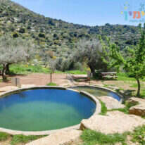 אליענה פסנטין