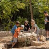 קיץ בנאות קדומים. | איתי בלסון