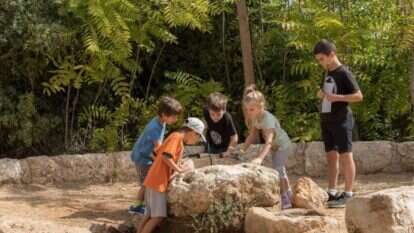 קיץ בנאות קדומים. | איתי בלסון