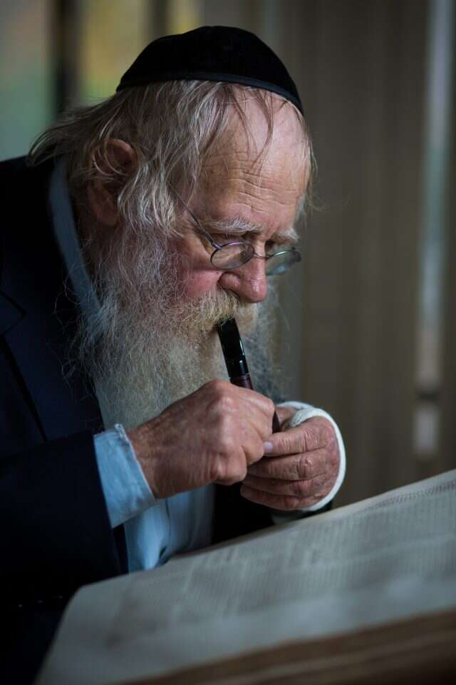 הרב שטינזלץ. | אריק סולטן