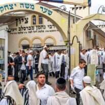 לקראת ראש השנה באומן, 2017. | שאטרסטוק