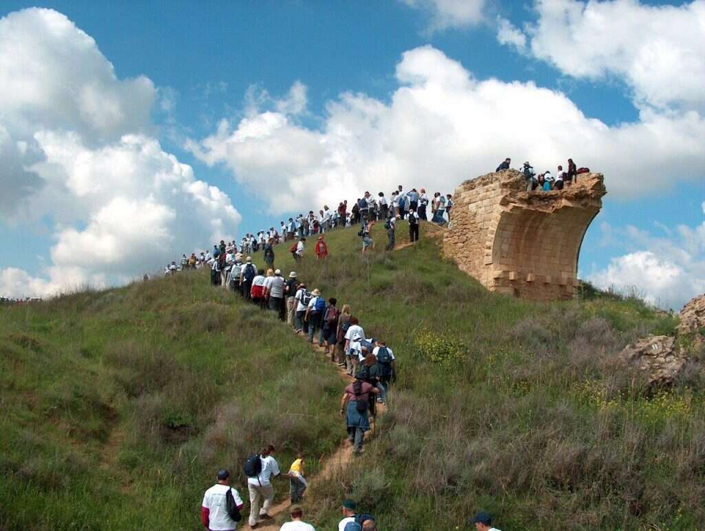 פרויקט "נפגשים בשביל ישראל". | עודד חכים, אוסקר - שמואל וייס