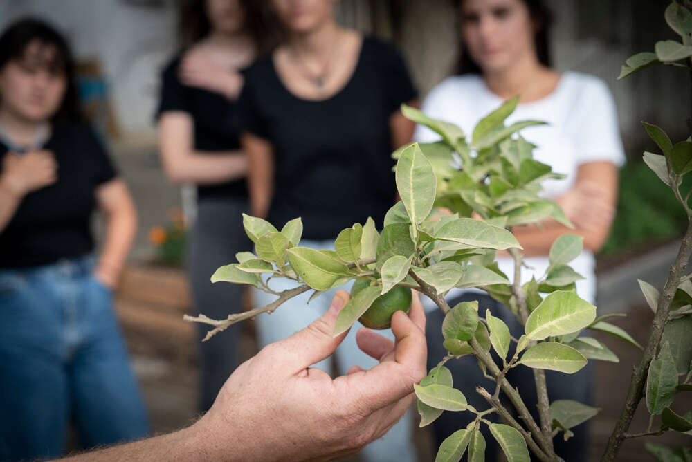 טבע גליל. | רותם רוזנאי