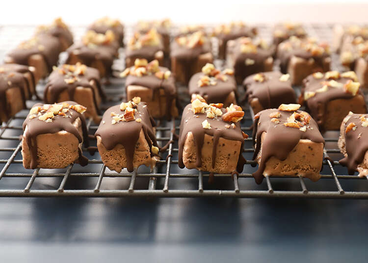 גלידוניות מוקה בציפוי שוקולד. | אפרת ליכטנשטט גלידוניות מוקה בציפוי שוקולד. | אפרת ליכטנשטט