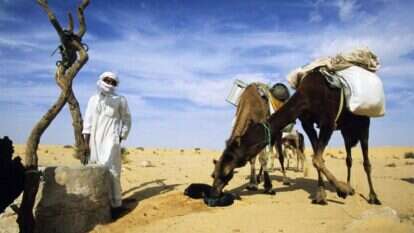 אם יש דרך לפתור את בעיית שאיבת המים בשבת, מדוע לא לפתוח אותה לכל מי שנדרש להשקות את בהמותיו בכל מקום שהוא?. | שאטרסטוק