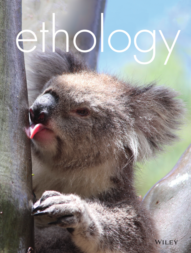 שותות כאילו אין מחר. שער כתב העת שהמחקר פורסם בו