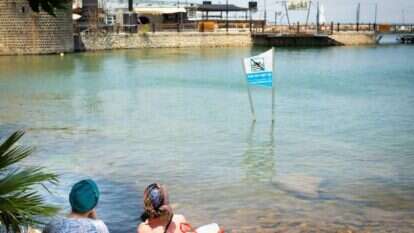 הכנרת בטבריה, בראשית הקיץ. | אריק סולטן