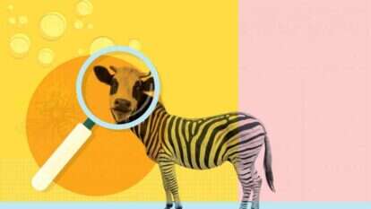 צילומים: שאטרסטוק