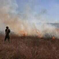 כיבוי שריפה כתוצאה מבלוני תבערה בעוטף עזה. | AFP