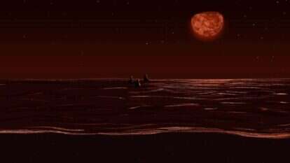 איור: שרון ארדיטי