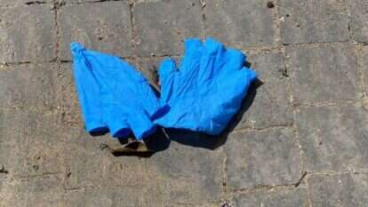 ליאורה חשין