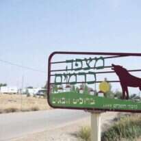 שריה דיאמנט