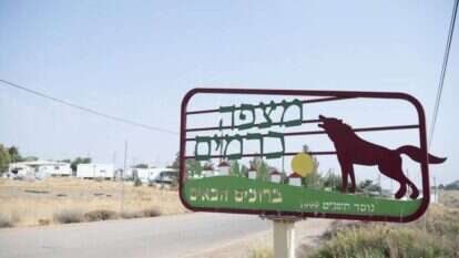 שריה דיאמנט